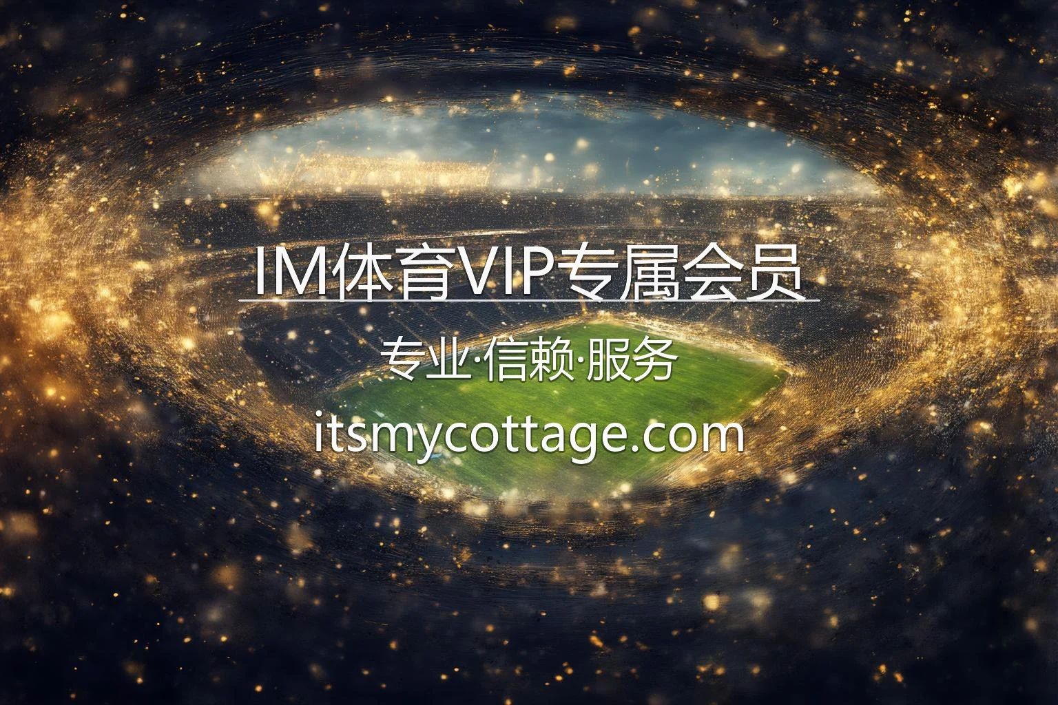 IM体育VIP专属会员官方海报